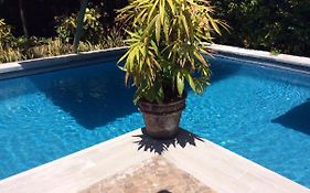Villas Casa Carlos